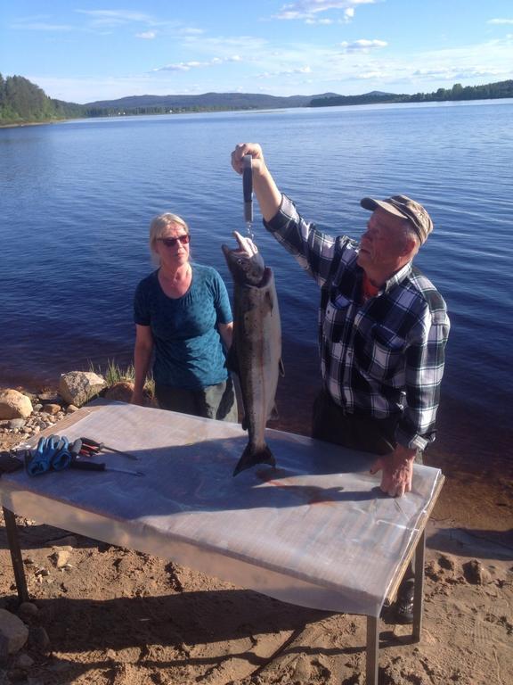 Arctic Camping Finland 호텔 펠로 외부 사진
