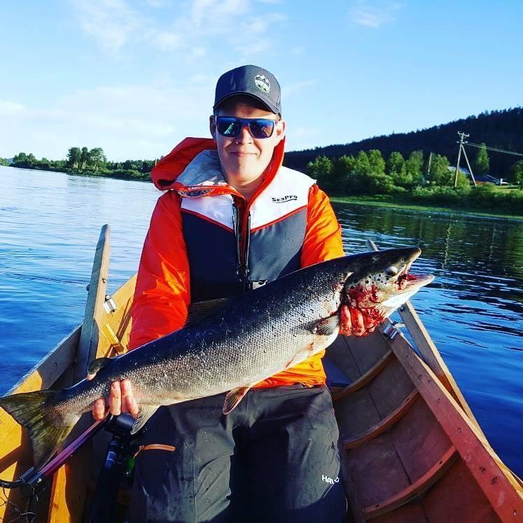 Arctic Camping Finland 호텔 펠로 외부 사진